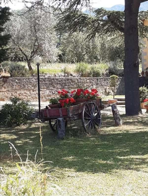 Agrifarm La Corte Apartment Villa Bensi Exteriér fotografie